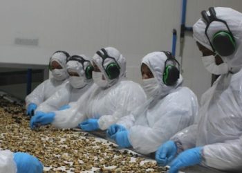 PAC de Sernapesca da un paso hacia la modernización y la certificación internacional