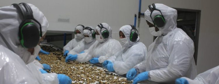 PAC de Sernapesca da un paso hacia la modernización y la certificación internacional