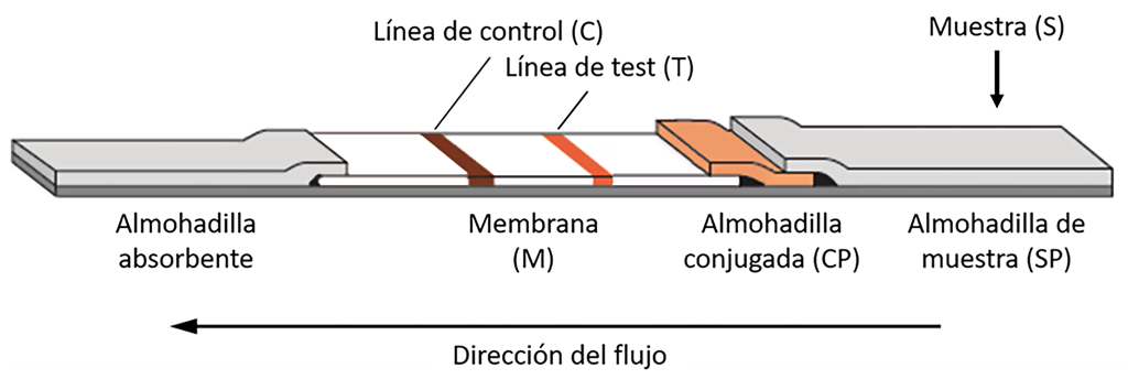 Estudio AquaBC