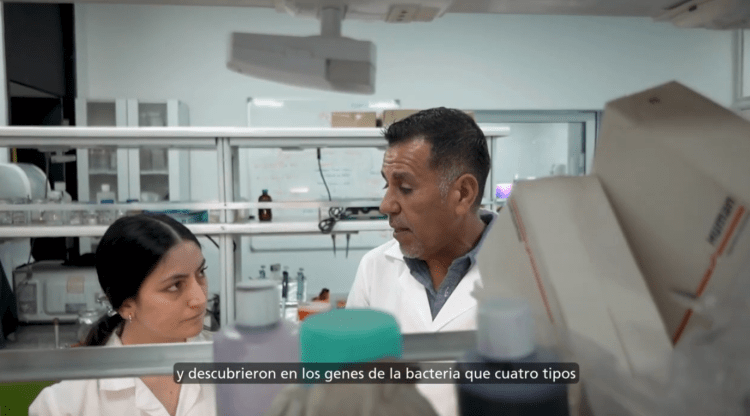INCAR lanza “Paper Flash”: ciencia en cápsulas que impulsa la acuicultura sustentable en Chile