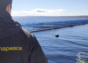 Sernapesca y Mattilsynet fortalecen cooperación en AquaSur 2026 con foco en regulación y sostenibilidad