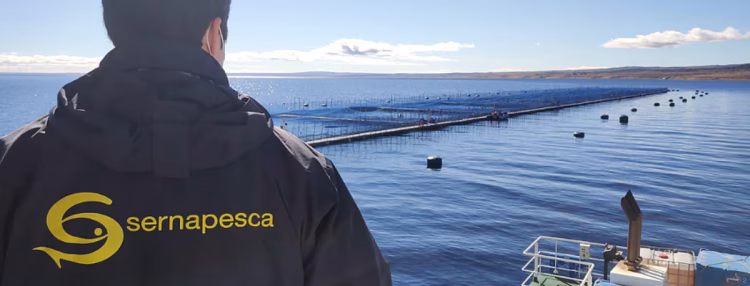 Sernapesca y Mattilsynet fortalecen cooperación en AquaSur 2026 con foco en regulación y sostenibilidad