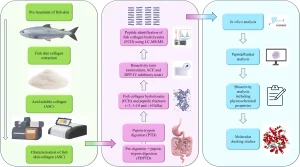 Residuos de pescado podrían transformarse en compuestos clave contra la hipertensión y la diabetes
