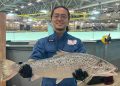 Créditos: Proximar Seafood.