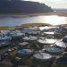 Cflow aterriza en Islandia