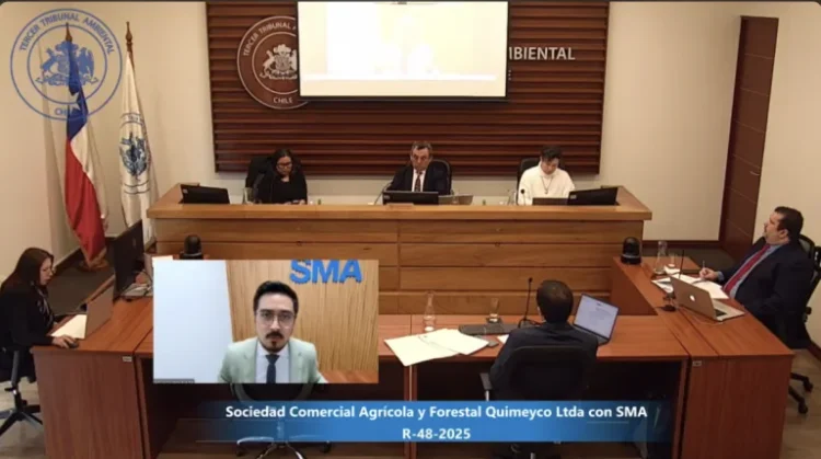Piscicultura Quimeyco: Buscan anular sanción ambiental tras años de proceso