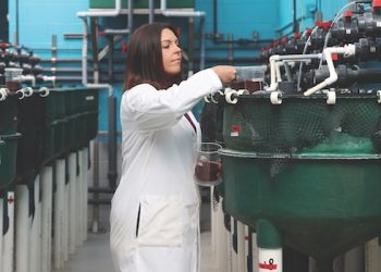 Academia desmiente mitos de activistas: respaldan seguridad y nutrición del salmón de cultivo