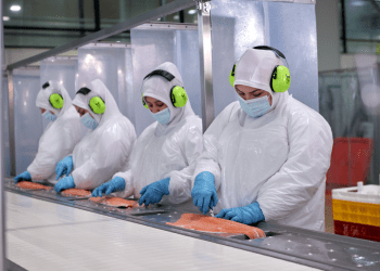 Exportaciones de salmón chileno crecen 20,7% en volumen impulsadas por récord en China y eficiencia operativa