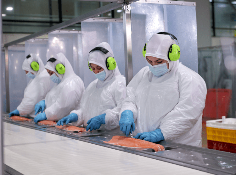 Exportaciones de salmón chileno crecen 20,7% en volumen impulsadas por récord en China y eficiencia operativa