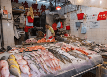 FAO revela que el 20% del comercio mundial de productos del mar es víctima de fraude alimentario