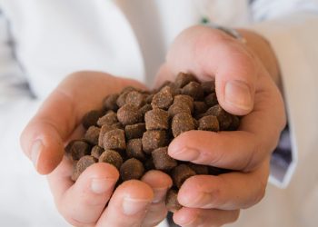 Consumidores desconocen de qué se alimenta el salmón de cultivo