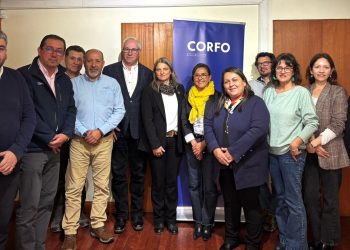Seremi de Economía marca quinta sesión de gobernanza del PTI Industria Sostenible del Salmón