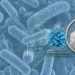Listeria sin margen: Análisis del Dr. Marcos Godoy sobre la nueva exigencia europea