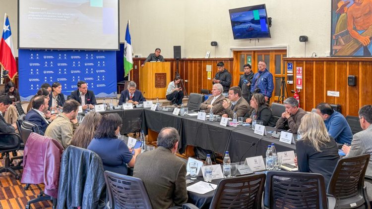 Propuesta cambios ley Lafkenche