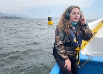 Acústica Marina: «Antes de buscar tecnología afuera, busquemos tecnología en Chile»