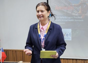 “Si queremos ayudar, debe ser con conocimiento científico”: Sernapesca refuerza la salmonicultura chilena