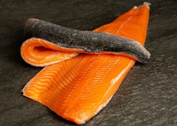 El “secreto” del color del salmón: lo que no viene del mar