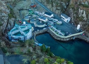 Searas AS busca reducir la mortalidad en RAS en un 50% mediante el monitoreo de «carbono oculto»