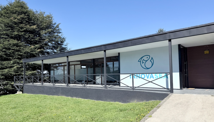 Innovasea inaugura nueva etapa en Chile con oficinas más amplias y espacios de laboratorio en Puerto Varas