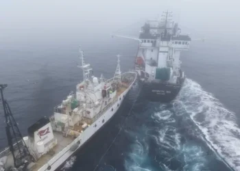 Armada ordena detener maniobras de Fundación Captain Paul Watson tras embestida contra pesquero de krill en la Antártica
