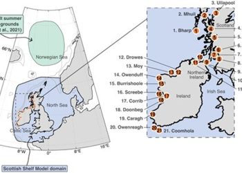El océano decide: corrientes y química sellan el destino del salmón joven desde su primer viaje