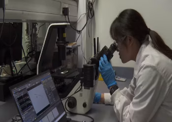 Singapur desarrolla tecnología para predecir floraciones algales nocivas