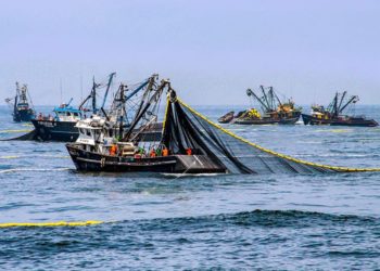 Se desploma la harina de pescado y crece la presión sobre el mercado global