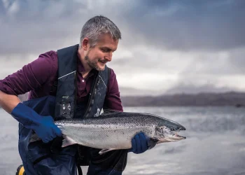 Escocia logra nuevo récord alcanzando un 99,1% de supervivencia del salmón