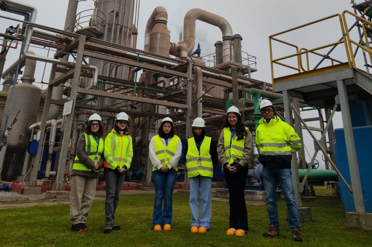 Estudiantes de Química Ambiental UCSC fortalecen aprendizaje aplicado en visita técnica a industria química