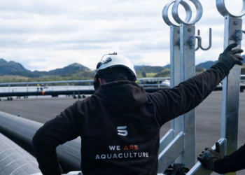 ScaleAQ rompe sus propios récords: tecnología submarina impulsa fuerte salto financiero en 2025
