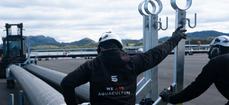 ScaleAQ rompe sus propios récords: tecnología submarina impulsa fuerte salto financiero en 2025