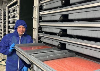 Pure Salmon Japan inicia operaciones biológicas con su primera siembra de ovas