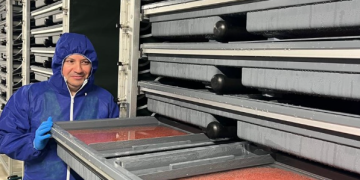 Pure Salmon Japan inicia operaciones biológicas con su primera siembra de ovas