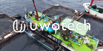 Desde Japón analizan el potencial de la Inteligencia Artificial frente a los desafíos sanitarios y comerciales del salmón chileno