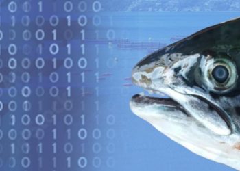 ADL Diagnostic Chile alerta sobre factores de riesgo y claves para prevenir cataratas en peces