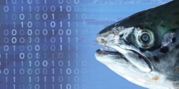ADL Diagnostic Chile alerta sobre factores de riesgo y claves para prevenir cataratas en peces