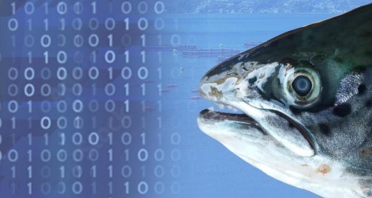 ADL Diagnostic Chile alerta sobre factores de riesgo y claves para prevenir cataratas en peces