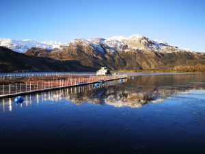 Salmonicultoras, Intesal e IFOP abordan requisito del estándar ASC sobre riesgo de asilvestramiento de salmones en Chile