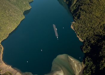 Subpesca flexibiliza norma para masificar el cultivo de macroalgas en centros salmoneros