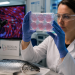 Cultivar músculo de salmón en laboratorio: ¿podría transformar la acuicultura del futuro?