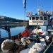 AquaChile refuerza trabajo con Puerto Edén mediante acciones de alto impacto comunitario