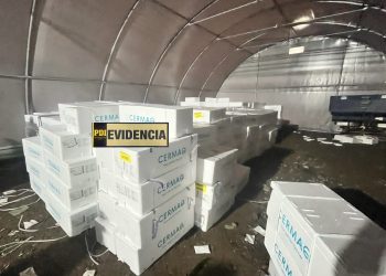 PDI recupera cargamento de salmón avaluado en $420 millones tras robo en Ruta 5