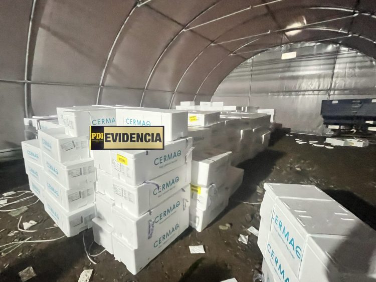 PDI recupera cargamento de salmón avaluado en $420 millones tras robo en Ruta 5