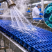 Agua caliente vence a la desinfección química: ¿cómo eliminar Listeria persistente en plantas de alimentos?