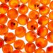 China acelera su producción local de Salmón Atlántico: Nueva partida de ovas desde Islandia consolida el modelo RAS en Ningbo