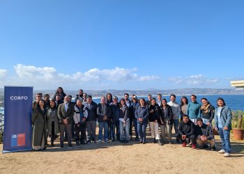 De Algarrobo al futuro: exitosa cosecha de huiro proyecta una nueva acuicultura regenerativa