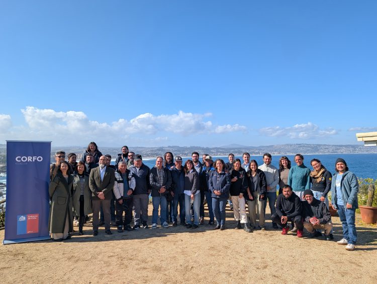 De Algarrobo al futuro: exitosa cosecha de huiro proyecta una nueva acuicultura regenerativa