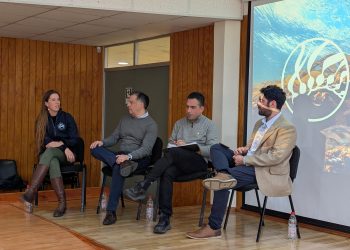 Del mar a la economía azul: Huiro Day posiciona al huiro como nueva oportunidad productiva para Chile