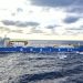 Revolución en China: cosecha de primeros salmones del Atlántico producidos íntegramente en un buque