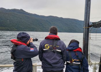 Sernapesca activa fiscalización en el Lago Llanquihue tras alertas ciudadanas por presunto escape de peces